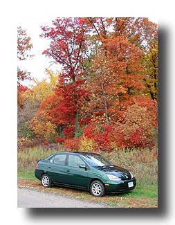 Prius_FallColors_60