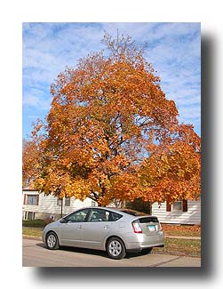 Prius_FallColors_66