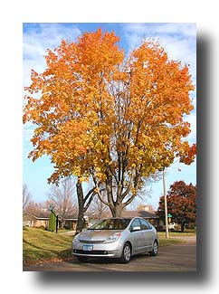 Prius_FallColors_69
