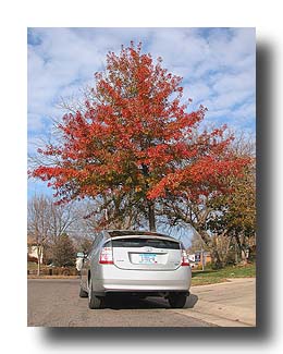 Prius_FallColors_70