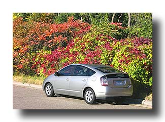 Prius_FallColors_74