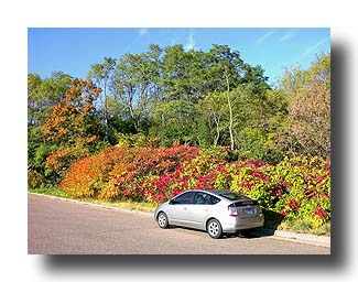Prius_FallColors_76