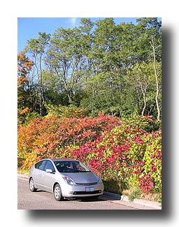 Prius_FallColors_79