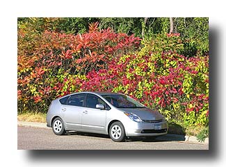 Prius_FallColors_80
