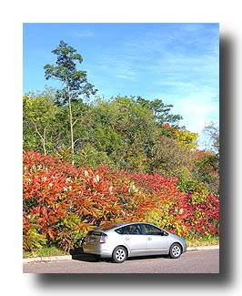 Prius_FallColors_82