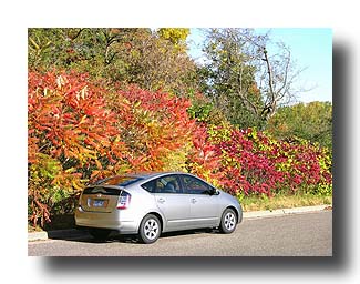 Prius_FallColors_83