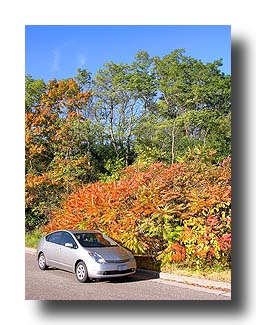 Prius_FallColors_84