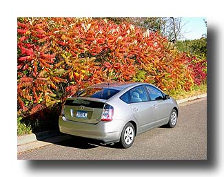 Prius_FallColors_85