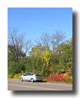 Prius_FallColors_88