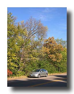 Prius_FallColors_89