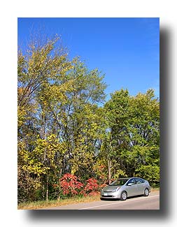 Prius_FallColors_90