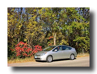 Prius_FallColors_91