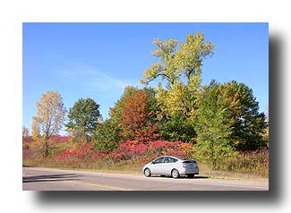 Prius_FallColors_93