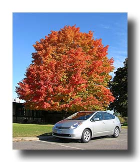 Prius_FallColors_95