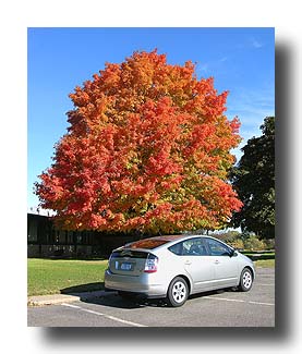 Prius_FallColors_96