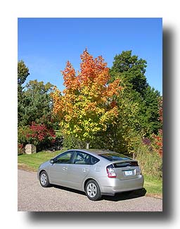 Prius_FallColors_97