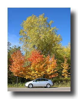 Prius_FallColors_98