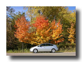 Prius_FallColors_99