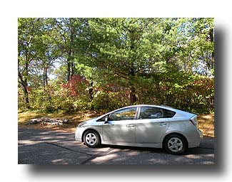 Prius_Fall_113