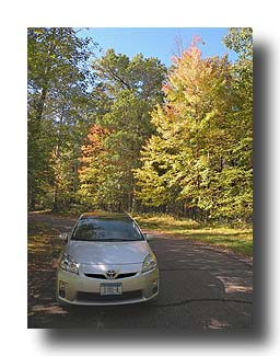 Prius_Fall_115