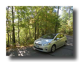 Prius_Fall_116