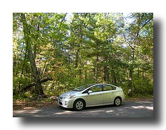 Prius_Fall_117
