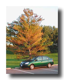 Prius_Fall_13