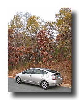 Prius_Fall_43