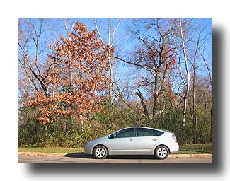 Prius_Fall_79