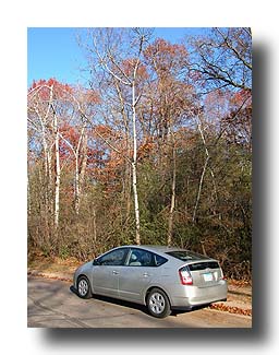 Prius_Fall_81