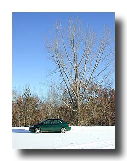 Prius_Snow_65