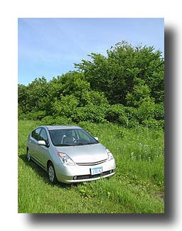 Prius_Summer_103