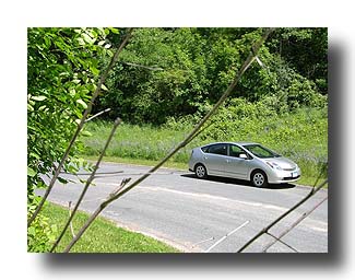 Prius_Summer_108