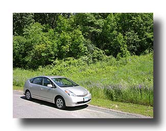 Prius_Summer_112