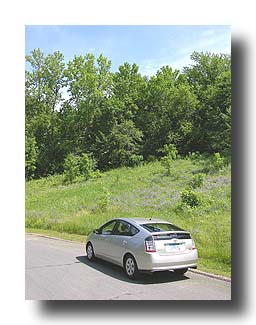 Prius_Summer_115