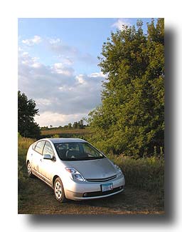Prius_Summer_149