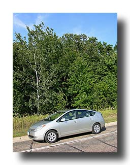 Prius_Summer_169
