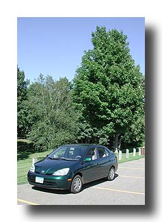 Prius_Summer_60