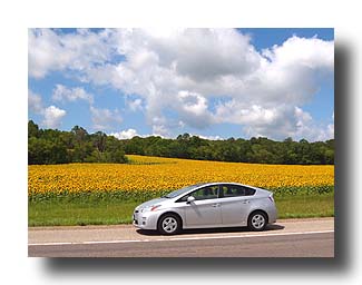 Prius_Sunflowers_04