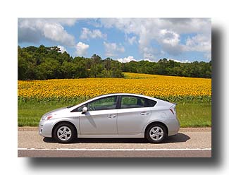 Prius_Sunflowers_05