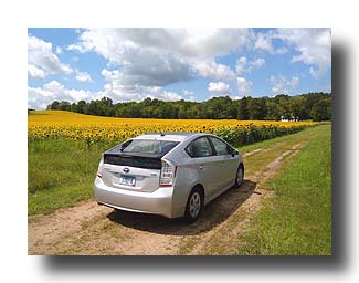 Prius_Sunflowers_06