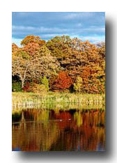 Fall_DucksInTheReflection